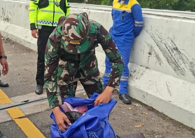 Prajurit Korem 043/Gatam Temukan 6 Tas Berisi 90 Ribu Butir Ekstasi di Tol Trans Sumatra KM 136