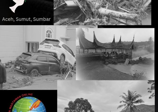 IWO Sampaikan Duka Cita dan Imbau Pengurus di Sumatera Perkuat Informasi Akurat Soal Bencana