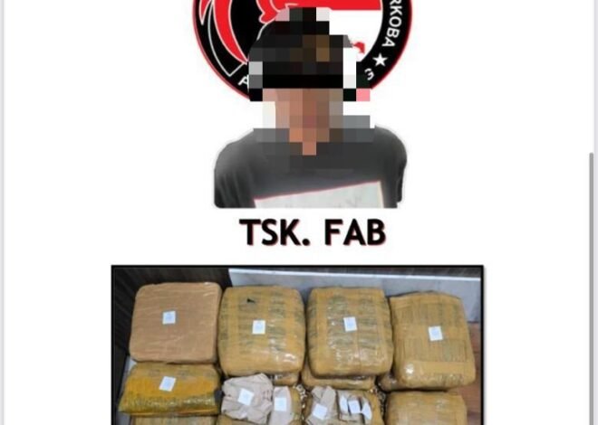 Polda Lampung Ungkap Peredaran Ganja 13,8 Kg di Lampung Selatan, Satu Pengedar Diamankan