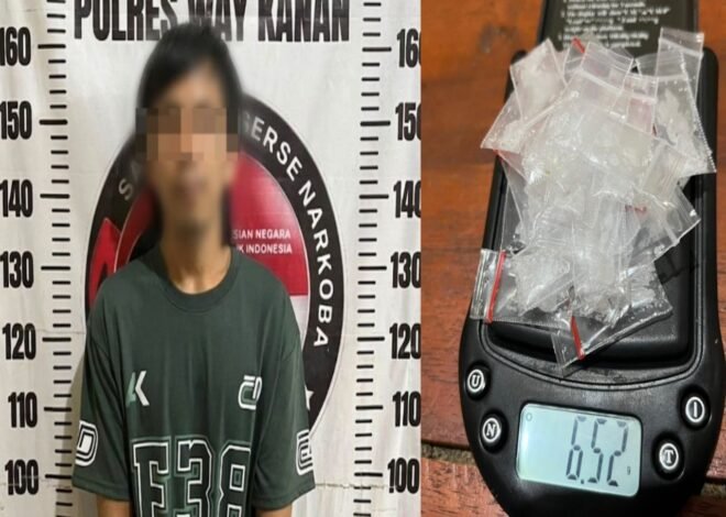Diduga Edarkan Sabu 6,52 Gram, Seorang Pria Asal Way Kanan Dibekuk Polisi