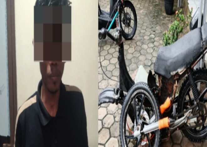 Bawa Kabur Motor Curian, Pelaku Curat Sepeda Motor Alami Laka Tunggal Diamankan Polisi di Baradatu