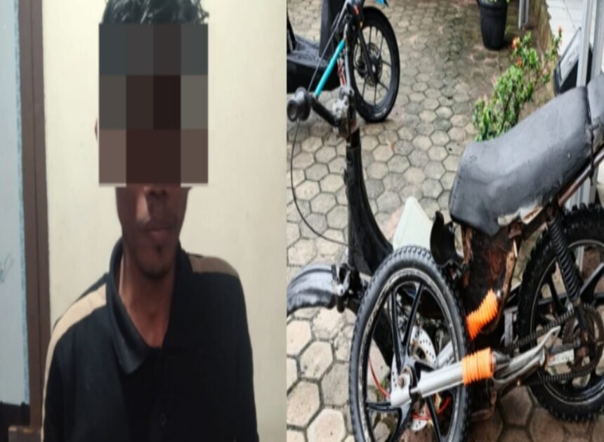 Bawa Kabur Motor Curian, Pelaku Curat Sepeda Motor Alami Laka Tunggal Diamankan Polisi di Baradatu