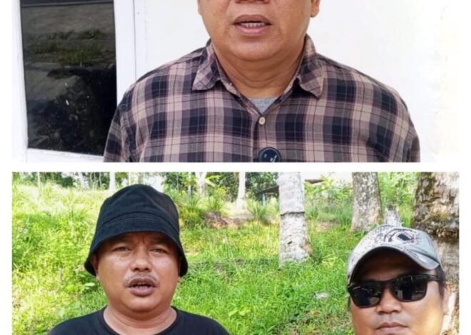 Dua LSM dan Ormas Pertanyakan Bantuan Traktor Roda 4 untuk Ketua Poktan yang Juga Anggota DPRD